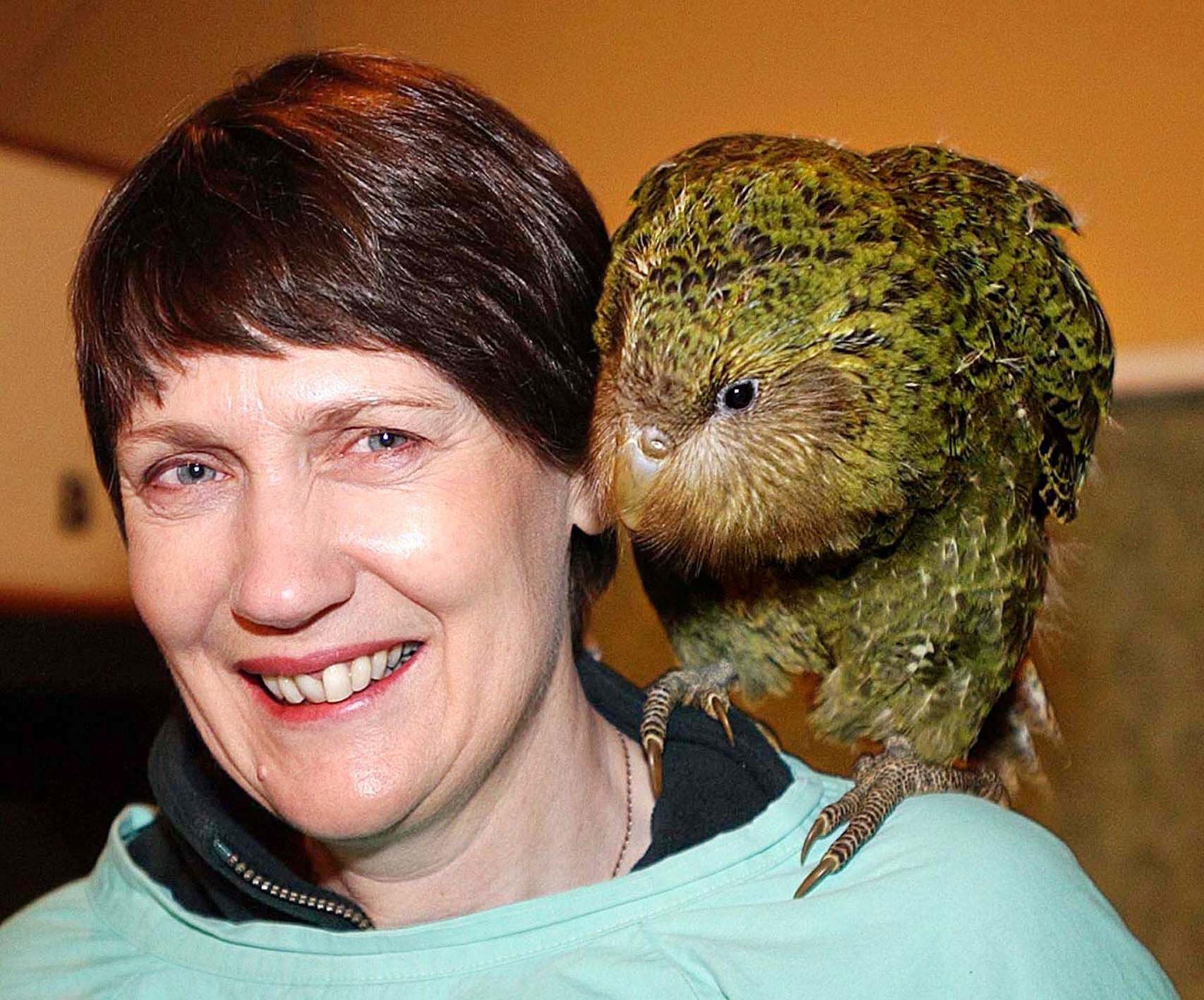 The kakapo – perched on the shoulder of former New Zealand prime minister Helen Clark – becomes the country’s Bird of the Year for a second time