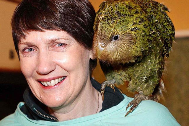 <p>The kakapo – perched on the shoulder of former New Zealand prime minister Helen Clark – becomes the country’s Bird of the Year for a second time</p>