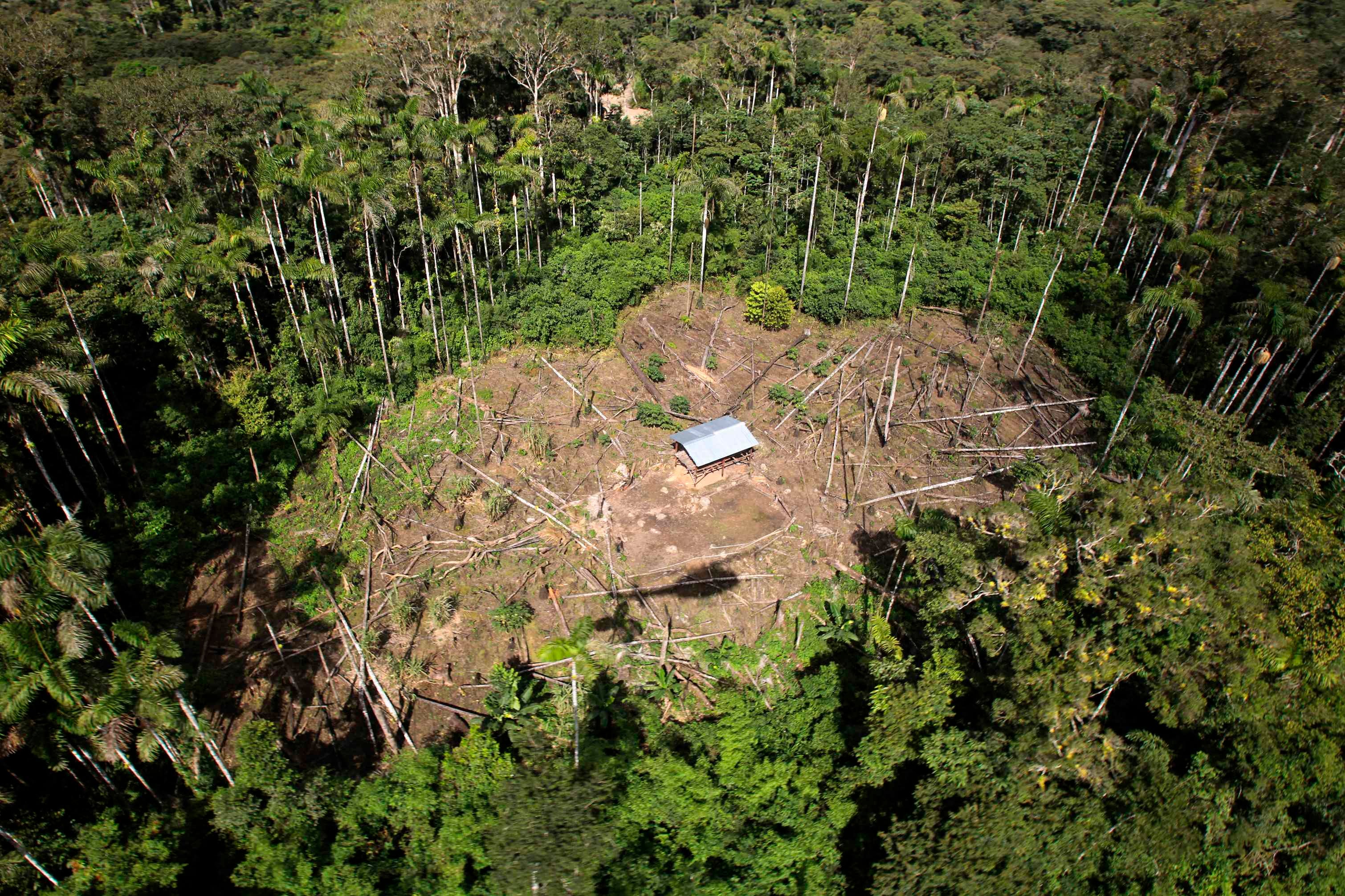 An aerial view of human settlements in the Chapare region of Bolivia, around 350 miles southeast of La Paz