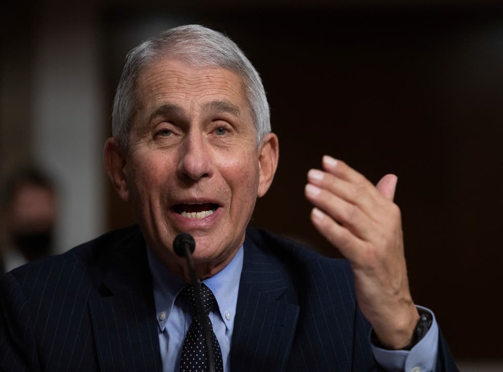 <p>Fauci calificó como “realmente impresionante” la efectividad reportada por Moderna de su vacuna</p>