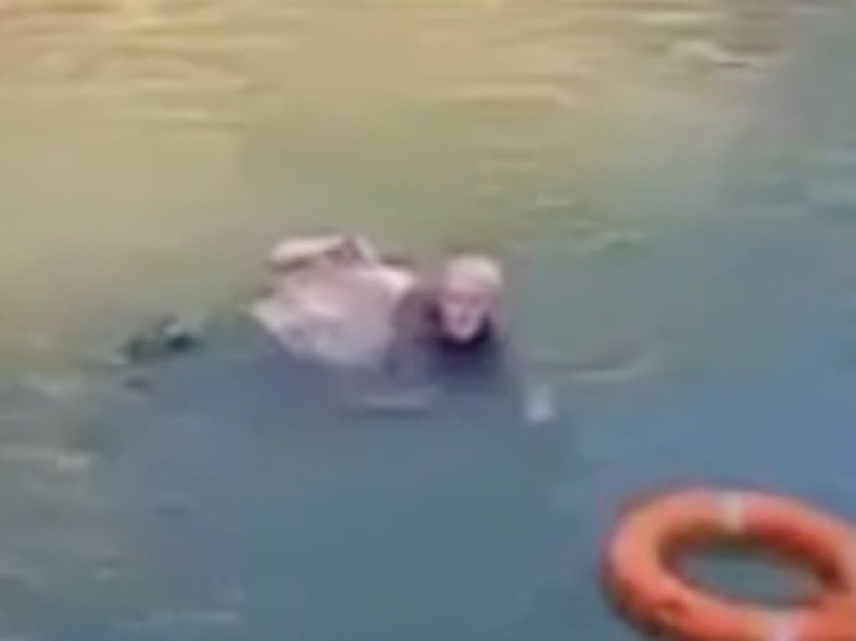 ‘Hero’ British diplomat praised in China after jumping into river to save drowning student