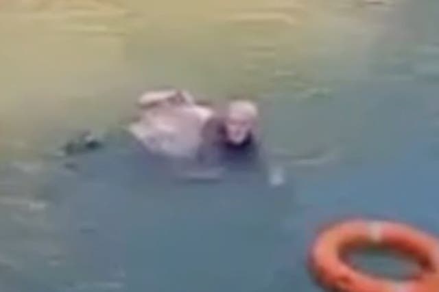<p>Stephen Ellison, 61, was filmed rescuing the 24-year-old woman from drowning in the town of Zhongshan</p>