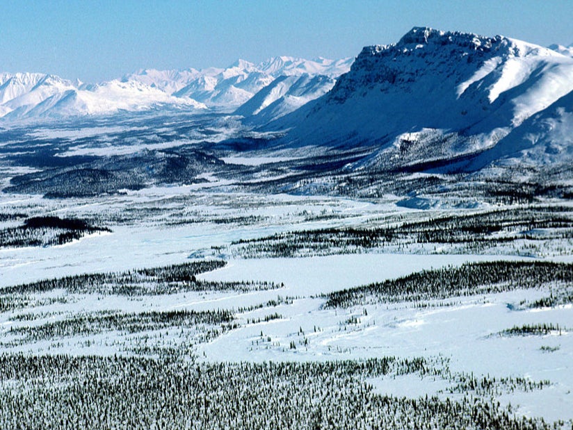 The Arctic National Wildlife Refuge in Alaska. The Trump administration is racing to sell off leases to oil and gas companies before he leaves office in January