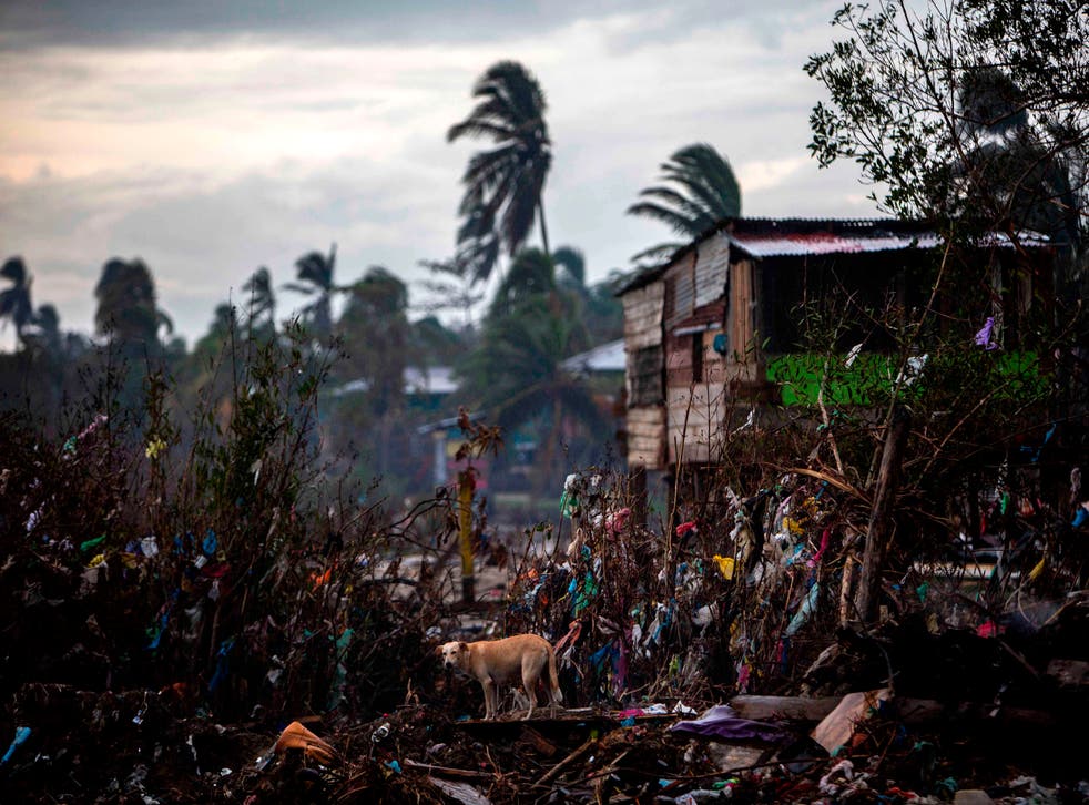 <p>Los estragos del huracán Eta aún son visibles en algunos lugares (Photo by STR/AFP via Getty Images)</p>