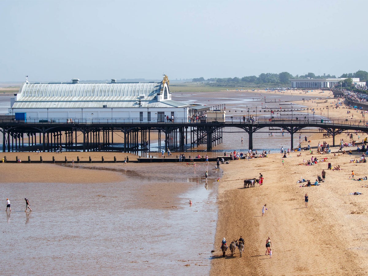 when can dogs go on the beach in cleethorpes