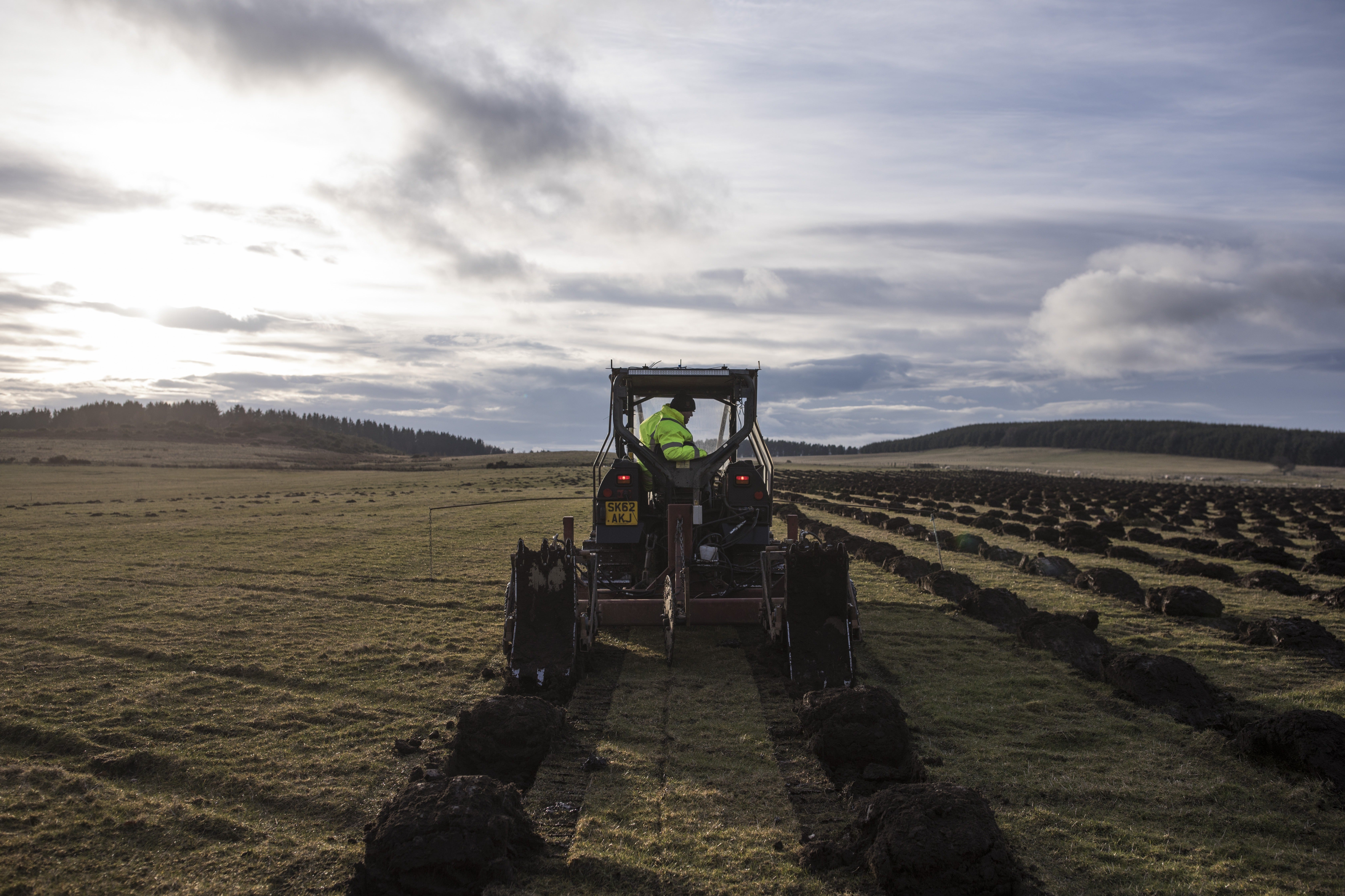 A site in Doddington, Lincolnshire, is prepared for tree planting in March 2018