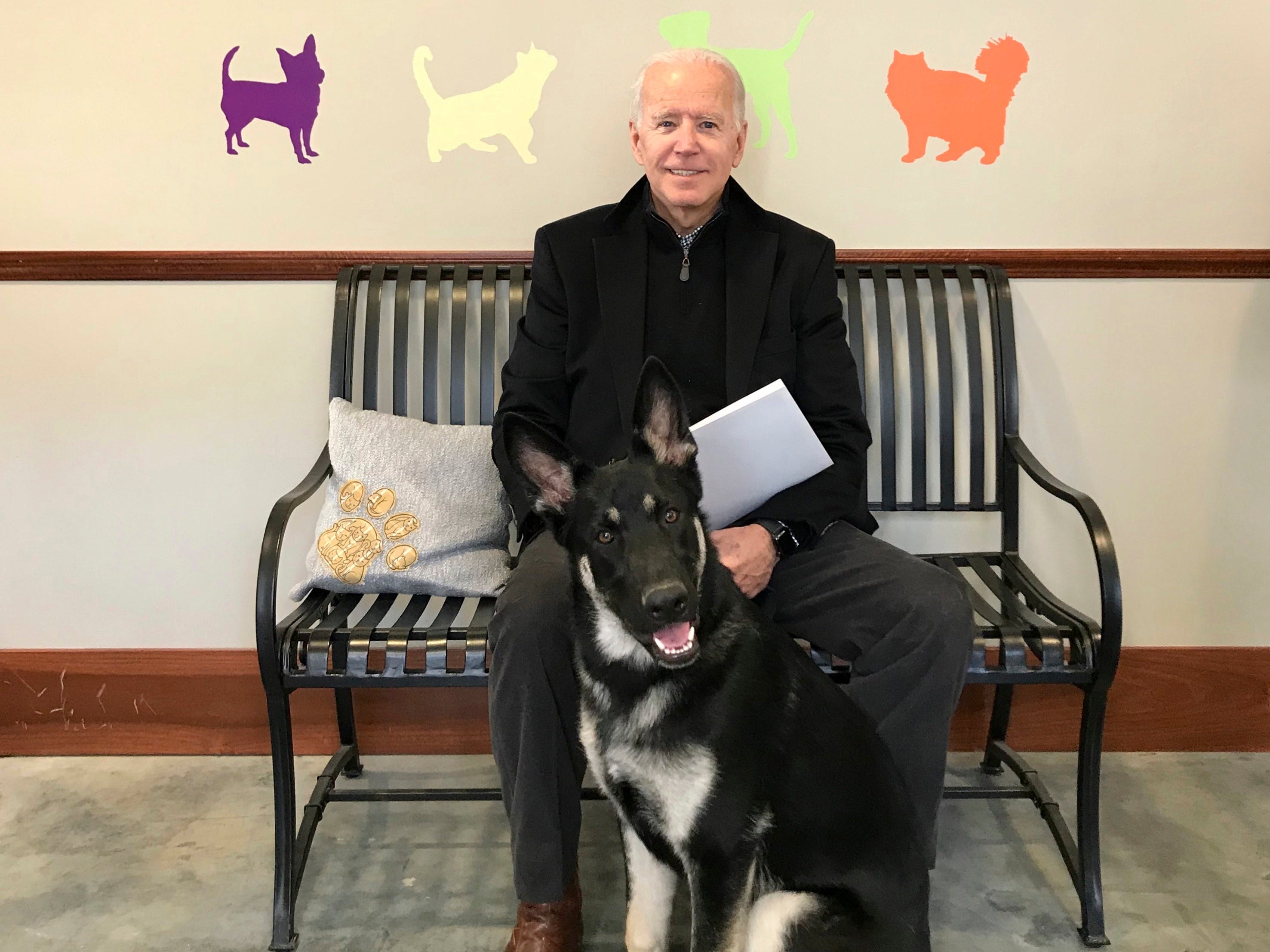 Joe Biden and his adopted German shepherd Major