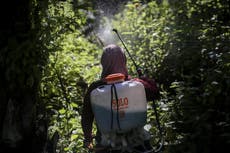Rape, abuses in palm oil fields linked to top beauty brands