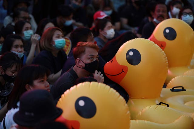 Pro-democracy protesters sit opposite large inflatable ducks during an anti-government rally in Bangkok on Wednesday