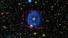 Scientists explain glowing blue ring ‘unlike anything seen before’