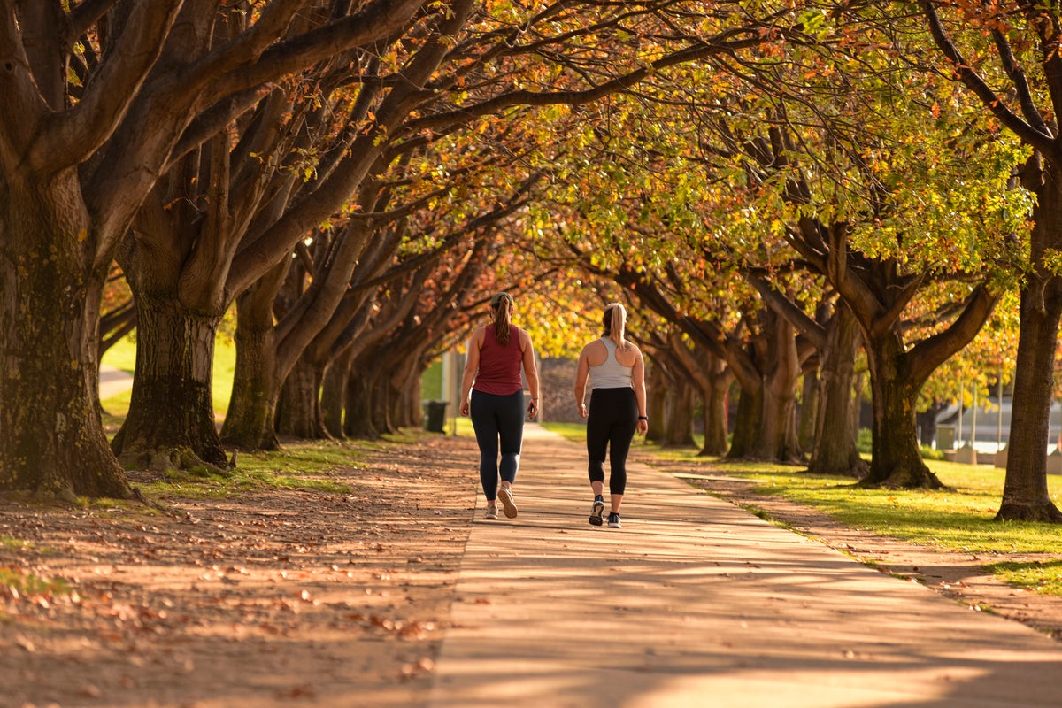 Experts explain why we should all start walking backwards