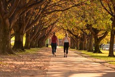 Experts explain why we should all start walking backwards