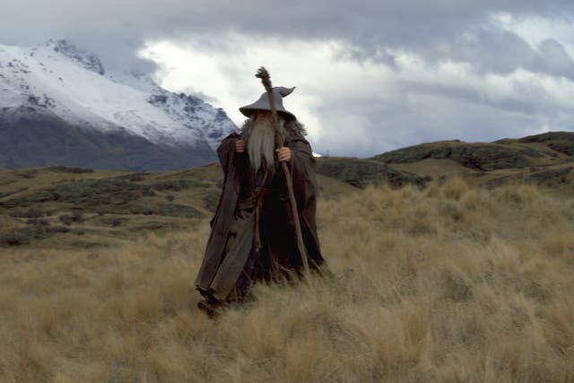Gandalf (Ian McKellen) in The Lord of the Rings: The Fellowship of the Ring