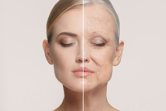 Ground-breaking study proves ageing process can be biologically reversed