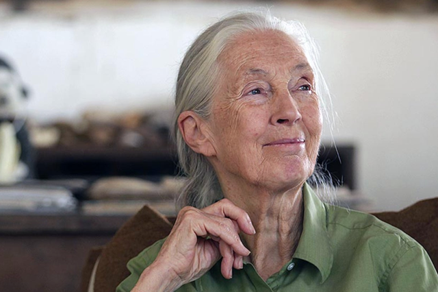 <p>Dr Jane Goodall calls for an end to the illegal trade of wildlife</p>