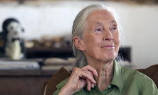 Dr Jane Goodall on why wildlife trafficking must end