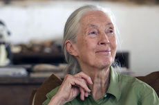 Stop the Illegal Wildlife Trade: Dr Jane Goodall on why wildlife trafficking must end