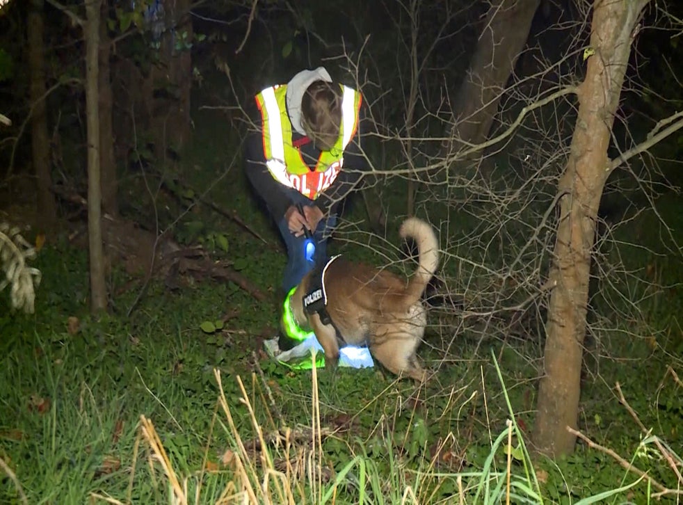 <p>En esta foto del 9 de noviembre de 2020, un agente de policía con perro busca a un hombre desaparecido en Berlín, Alemania. La `policía dijo el viernes 20 de noviembre de 2020 que halló evidencia de "canibalismo" en el asesinato de un hombre de 44 años cuyos restos aparecieron en las afueras de la cçiudad días atrás.</p>