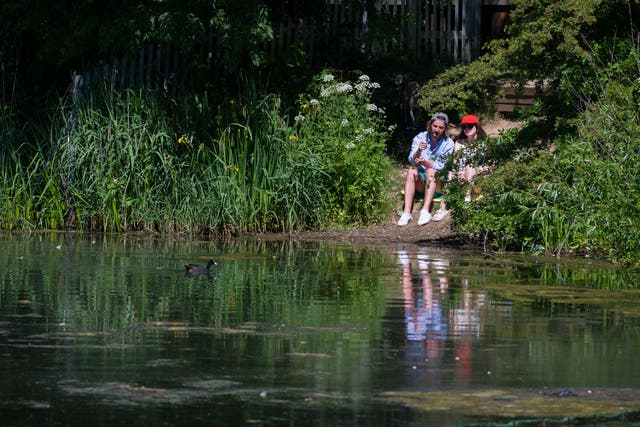 A man and a woman look at the wildlife in a pond 
