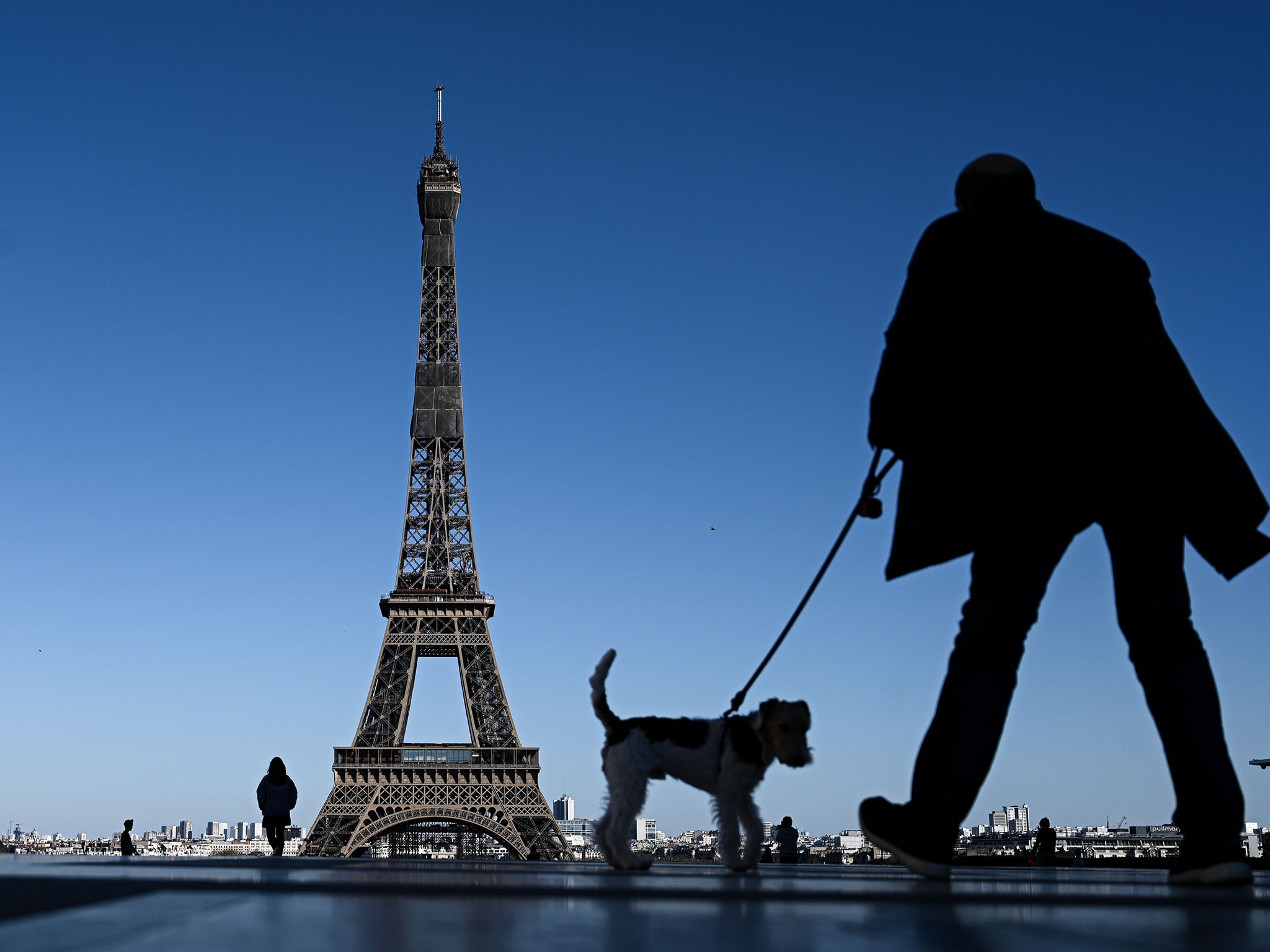 A reader wants to take a furry friend to France next year