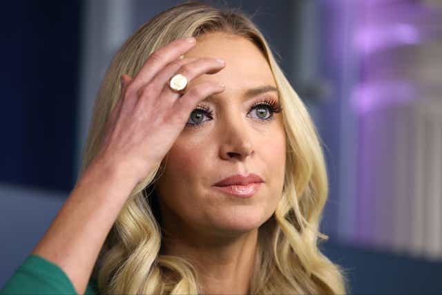 Kayleigh McEnany was appointed in April