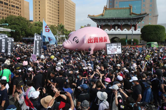 <p>Miles de personas protestan contra la importación de carne de puerco estadounidense, algunas de ellas portando un cerdo inflable con la leyenda "Traición a los criadores de cerdos", el domingo 22 de noviembre de 2020 en Taipei, Taiwán.</p>