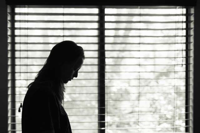 <p>Domestic violence has risen during the pandemic as lockdown measures have trapped victims at home with abusive partners</p>