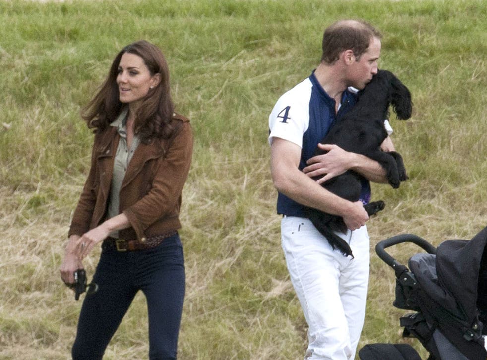 Prince William And Kate Middleton S Dog Lupo Has Died We Will Miss Him So Much The Independent