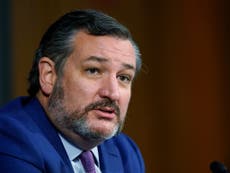 Ted Cruz tells Texans to carry on with Thanksgiving despite deaths