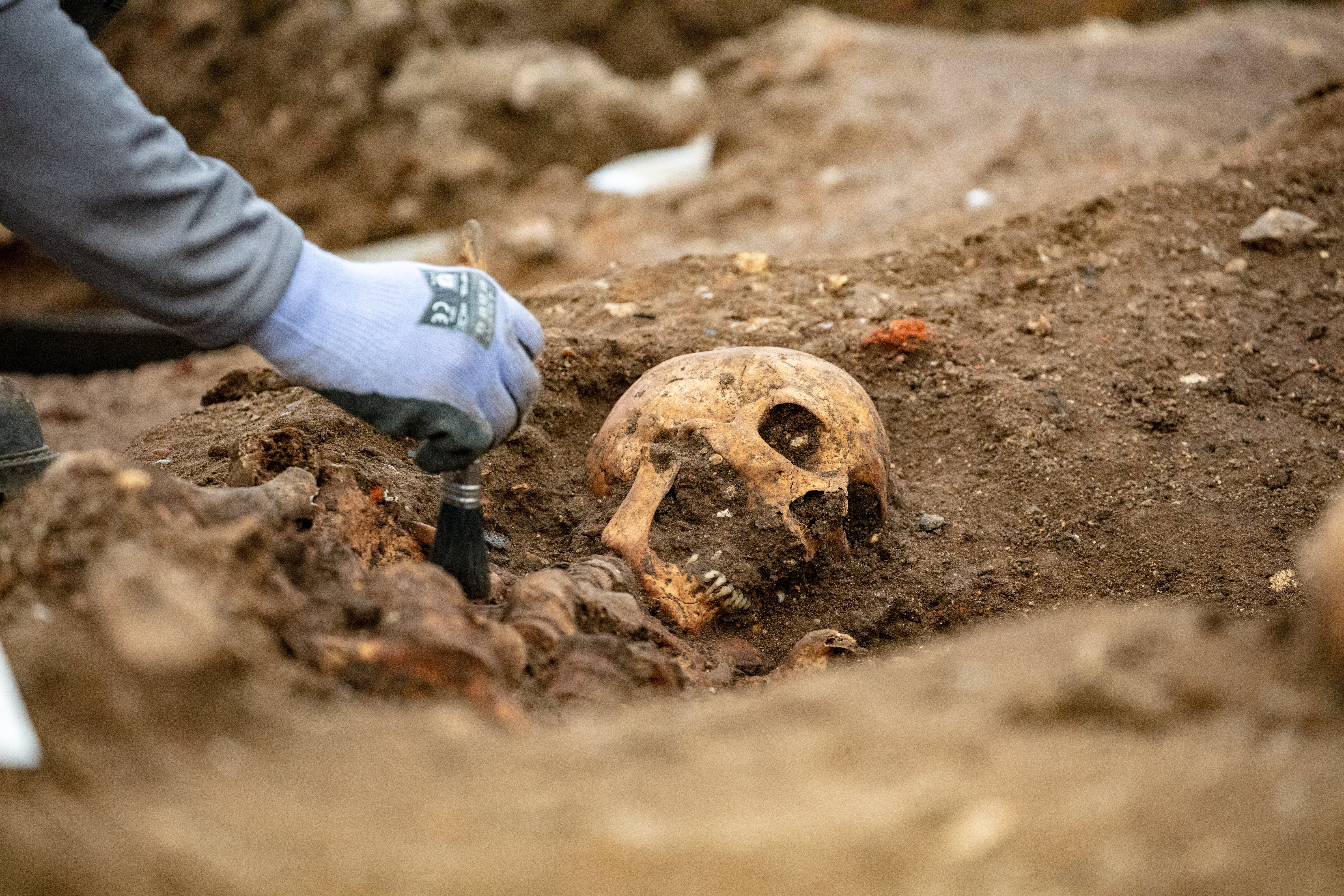 An archaeologist gently brushes away the soil from around a skeleton