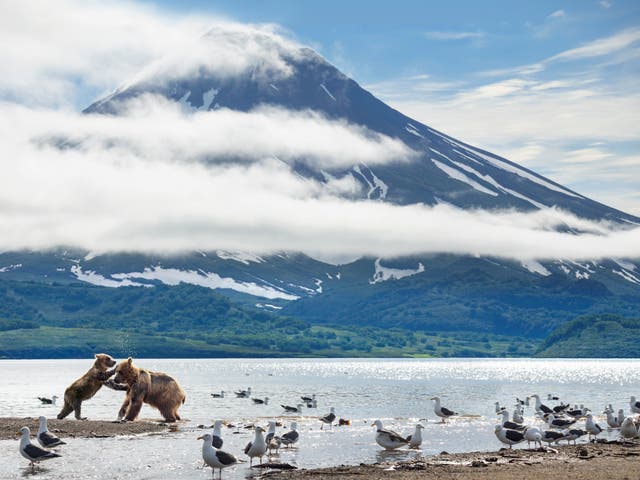 <p>Volcanoes are the subject of one of the episodes in the new David Attenborough series, A Perfect Planet</p>