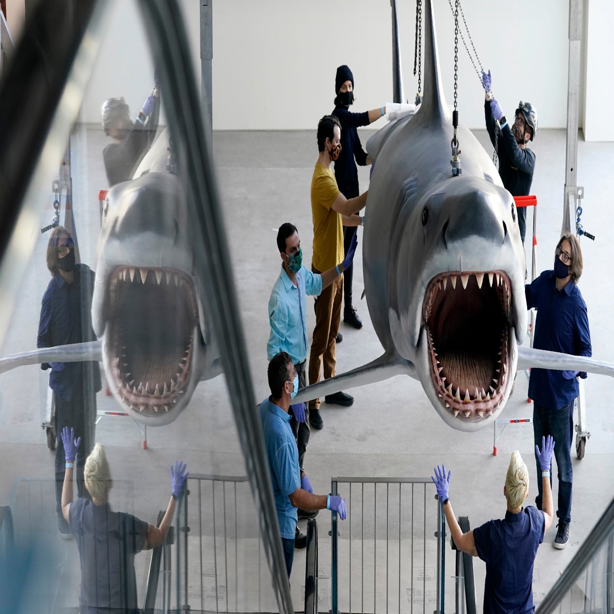 Bruce, the last 'Jaws' shark, docks at the Academy Museum