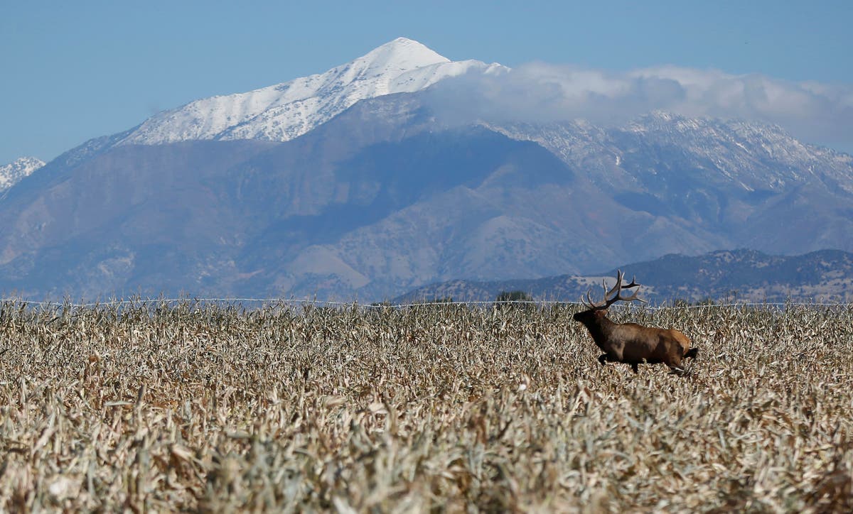 Mysterious metal monolith found in the wilds of Utah by team of biologists