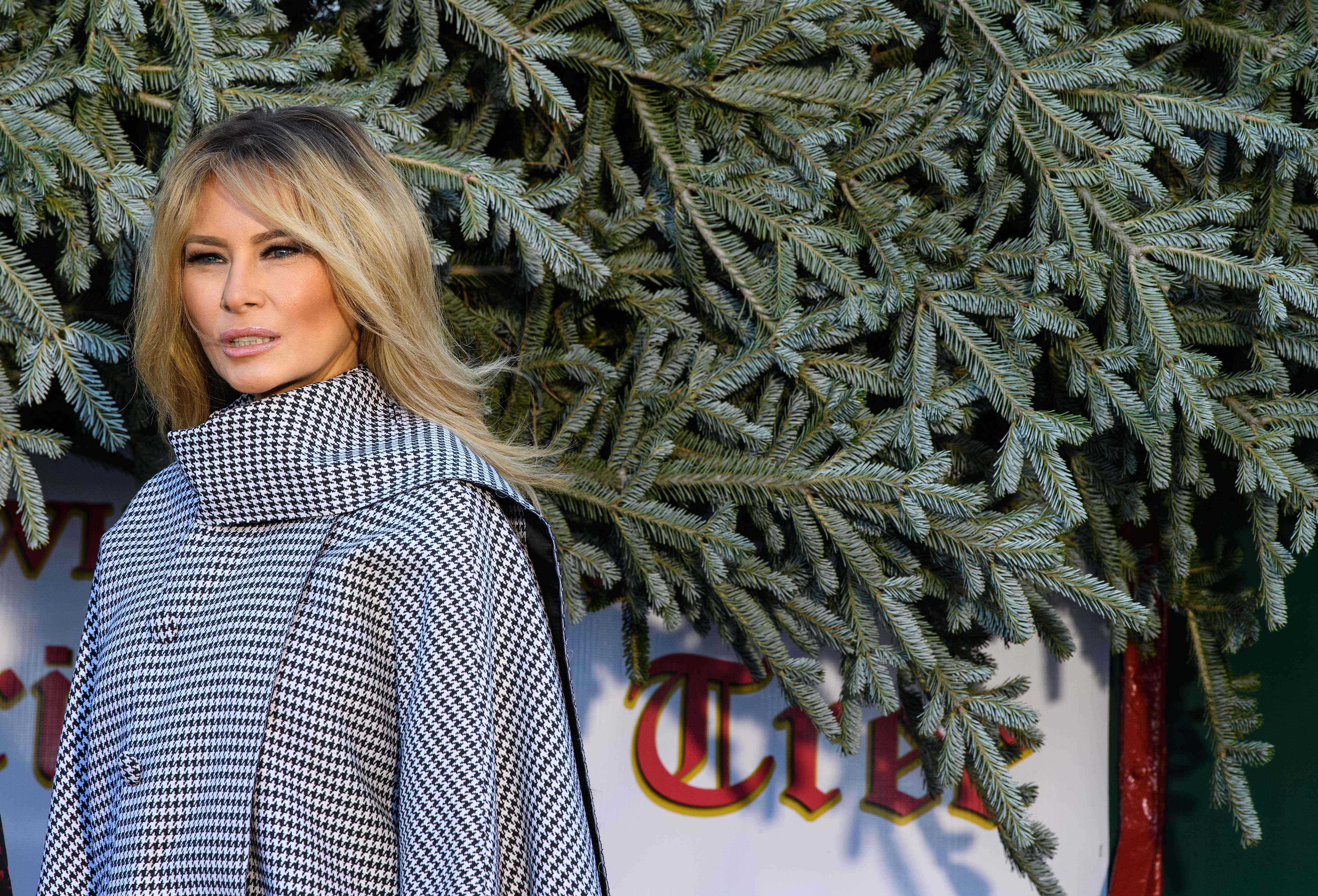 US First Lady Melania Trump receives the White House Christmas Tree at the White House in Washington, DC, on November 23, 2020. (Photo by NICHOLAS KAMM / AFP) (Photo by NICHOLAS KAMM/AFP via Getty Images)