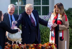 Three things to watch as Trump pardons final Thanksgiving turkeys