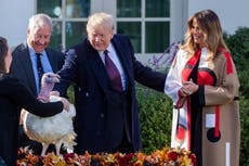 Trump once called out a Thanksgiving turkey that ‘refused to concede’