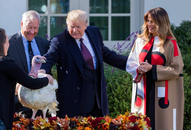 It’s tradition for the president to ‘pardon’ a live turkey marked for the family’s Thanksgiving dinner