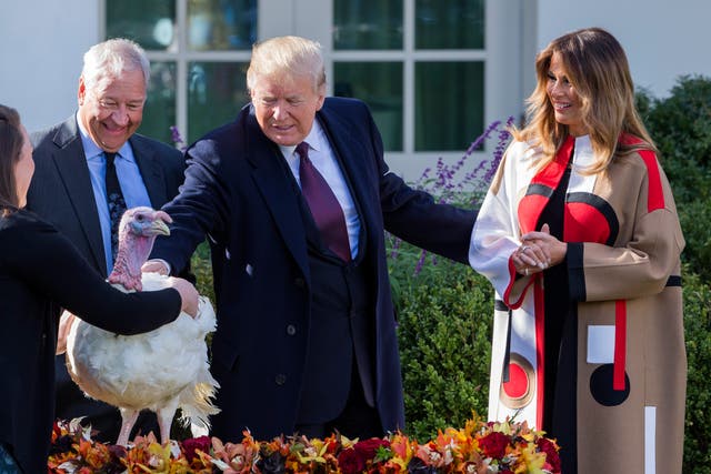 It’s tradition for the president to ‘pardon’ a live turkey marked for the family’s Thanksgiving dinner