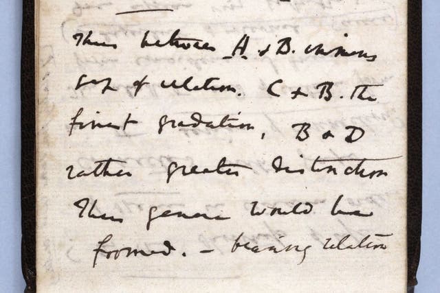Uno de los cuadernos perdidos de Charles Darwin contenía su boceto del Árbol de la vida de julio de 1837.