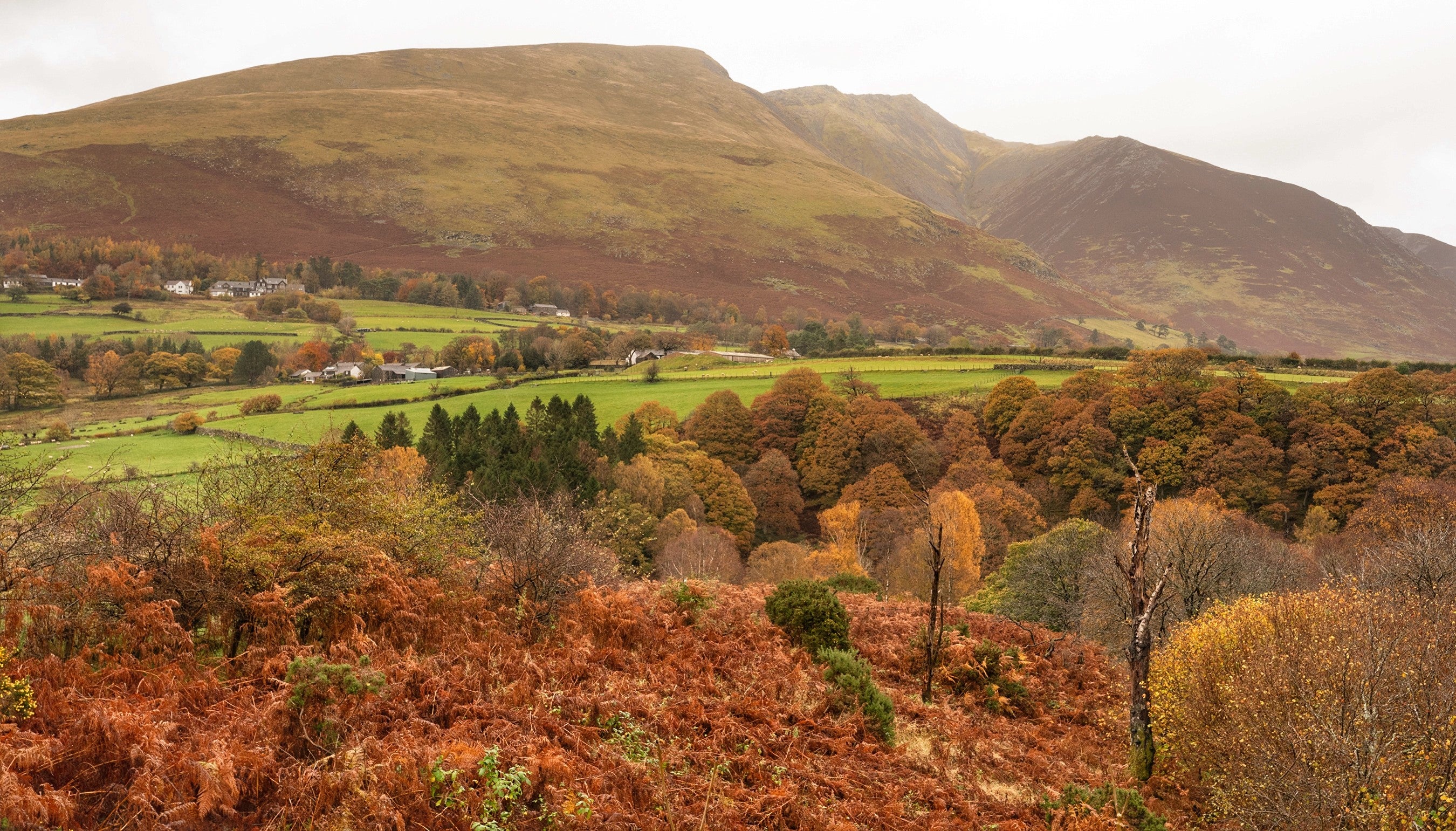 The autumn view out to Blencathra, also called Saddleback, which is located near Keswick in the Lake District.