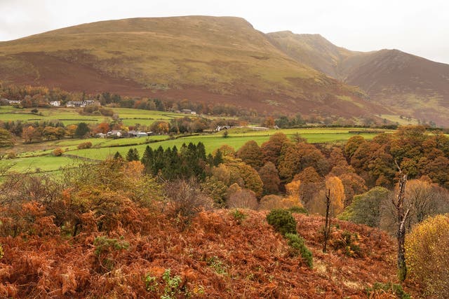The autumn view out to Blencathra, also called Saddleback, which is located near Keswick in the Lake District. 