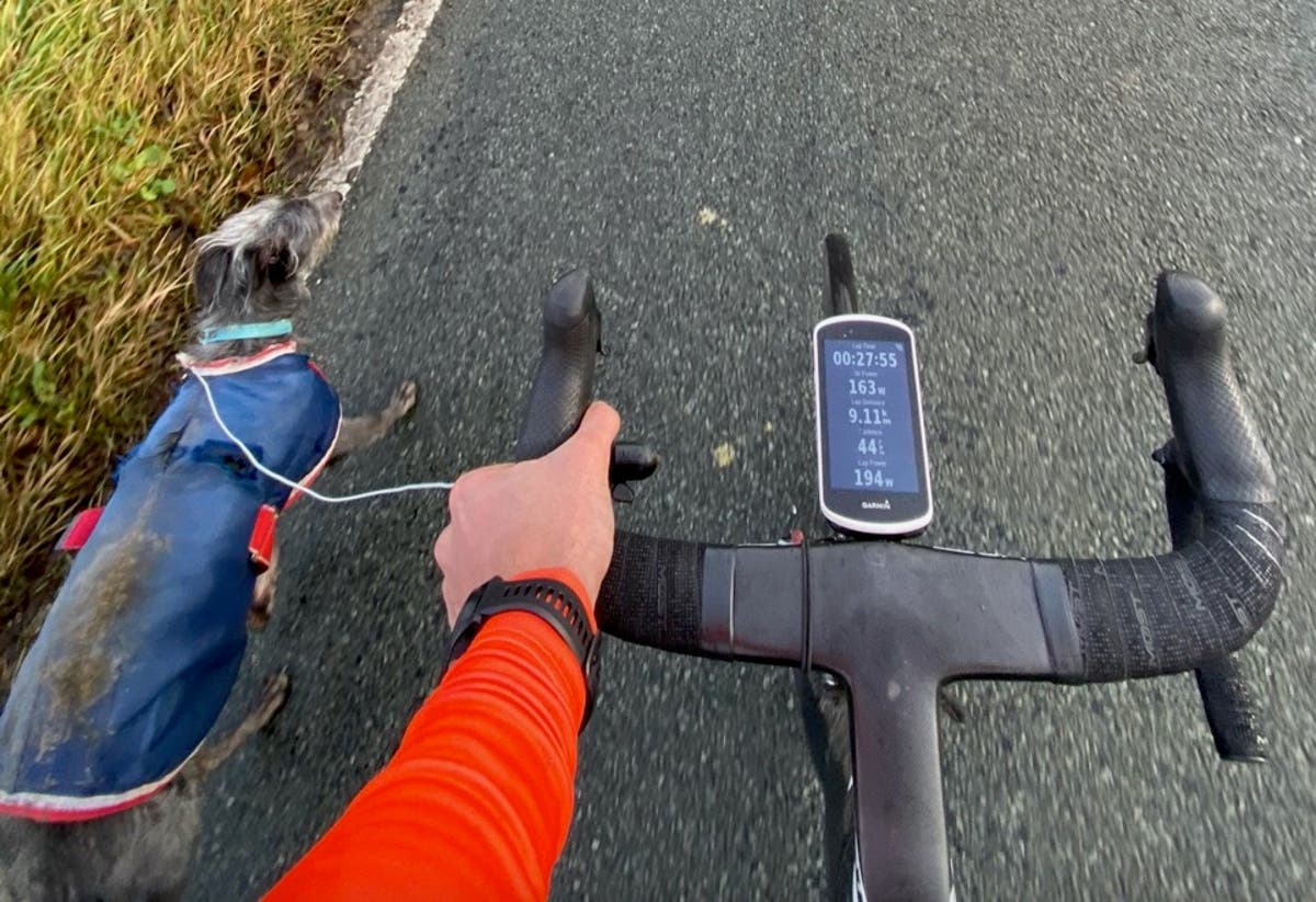 Olympic cyclist rescues lost dog using headphones for lead while on training ride