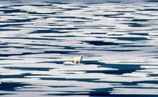 Climate crisis ‘shifting infectious animal diseases’