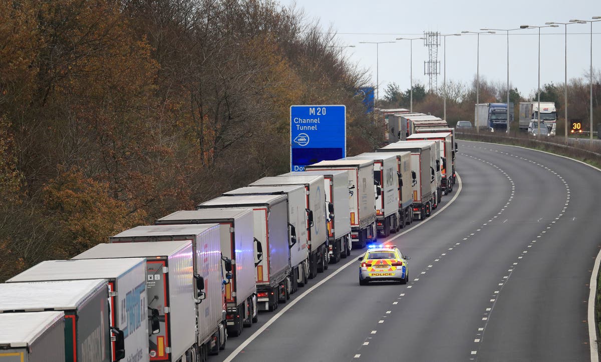 No-deal Brexit would hammer UK economy, warns Office for Budget Responsibility