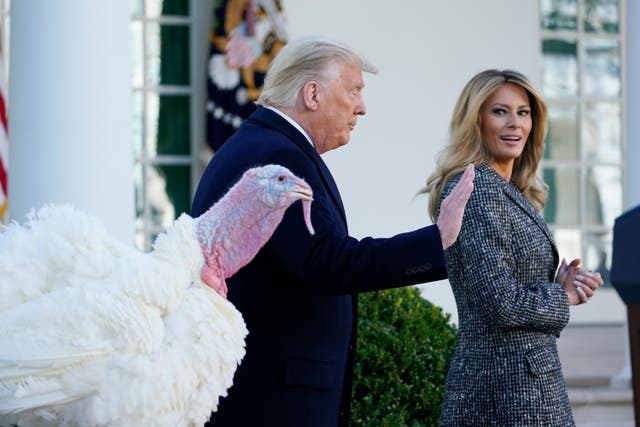 Donald Trump se aleja después de perdonar a Corn, el pavo nacional de Acción de Gracias, en el Rose Garden de la Casa Blanca
