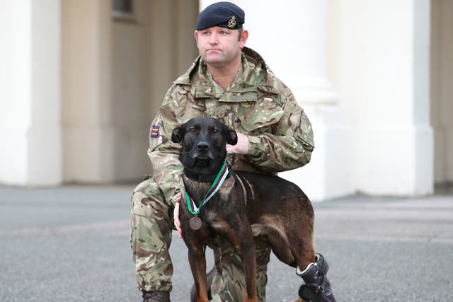 <p>Kuno suffered bullet wounds to his back legs during the siege, leaving him in need of several operations and eventually the amputation of part of one paw.</p>