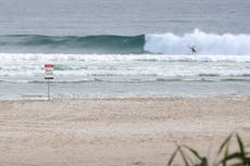 Death by shark is at an all time high in Australia. What’s happening?