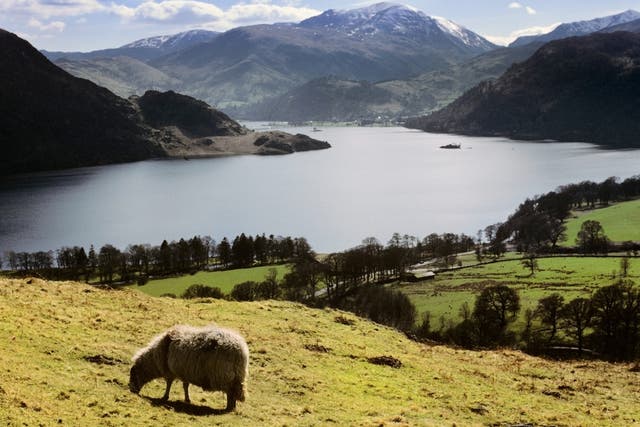 Ullswater in the Eden District part of the Lake District - one of the areas with considerable reforestation potential