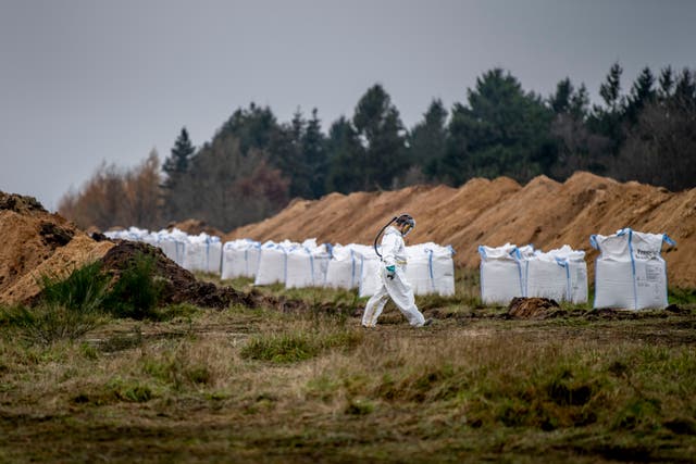 Danish health authorities assisted by members of the Danish Armed Forces dispose of dead mink in a military area near Holstebro, Denmark 