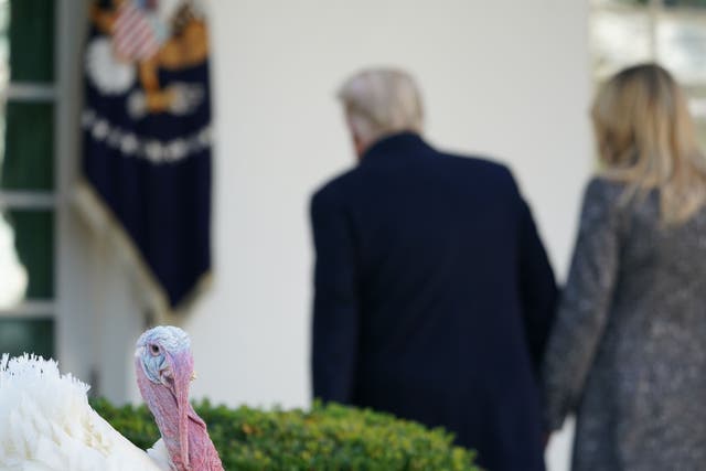 US President Donald Trump and First Lady Melania Trump depart after taking part in the annual Thanksgiving turkey pardon in the Rose Garden of the White House in Washington